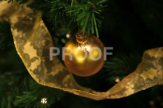 081205_0836