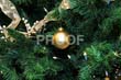 081205_0834