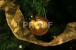 081205_0836