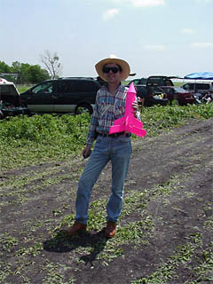 Pink two stage rocket on the way to the pad